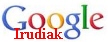 GOOGLEn IRUDIen BILATZAILEA